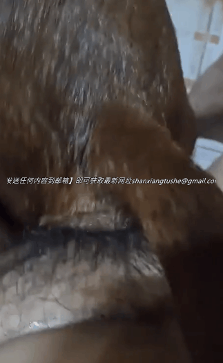 图片[1]-【特殊资源】内射母狗 波哥 不愧是国内玩儿狗第一人！-91欢迎您！